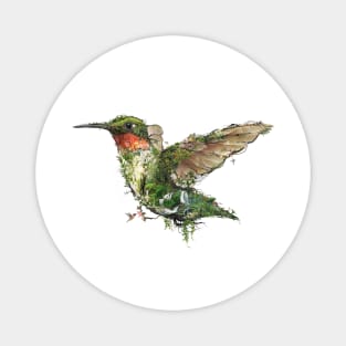 Ruby Throated Hummingbird Magnet